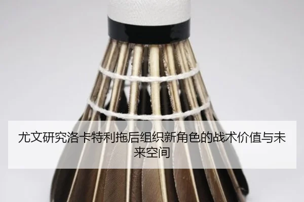 you-wen-yan-jiu-luo-ka-te-li-tuo-hou-zu-zhi-xin-jue-se-de-zhan-shu-jia-zhi-yu-wei-lai-kong-jian-2-498.jpg